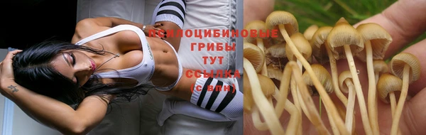 крисы Переславль-Залесский
