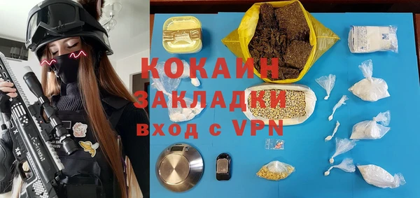 мдпв Пересвет