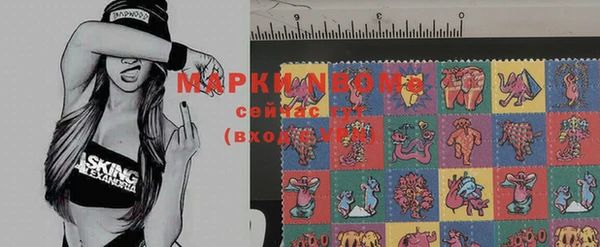 ПСИЛОЦИБИНОВЫЕ ГРИБЫ Пестово