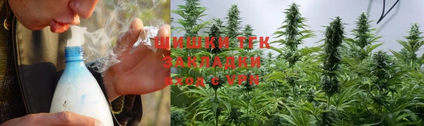 мдпв Пересвет