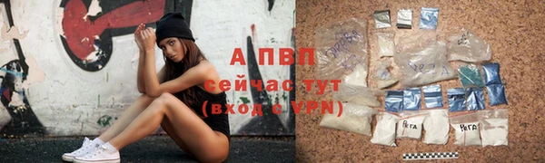 ПСИЛОЦИБИНОВЫЕ ГРИБЫ Пестово