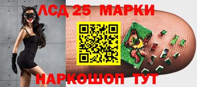гашик Славгород