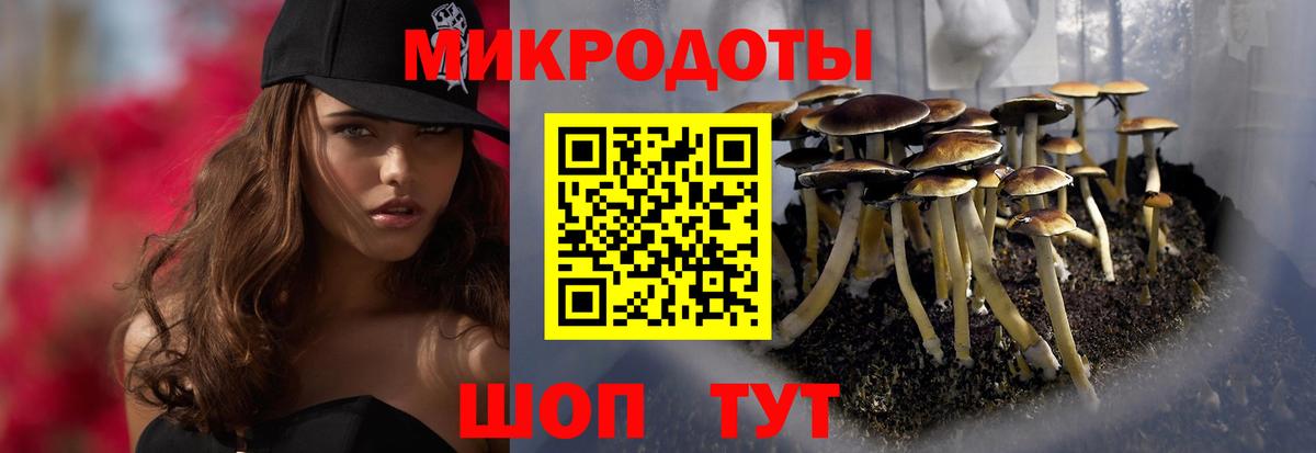 Псилоцибиновые грибы прущие грибы  Вход с VPN  Сальск 